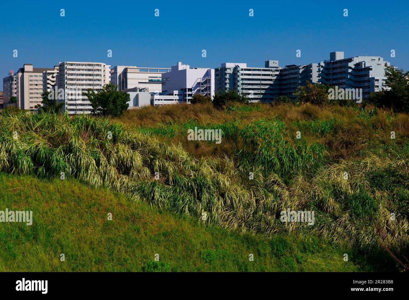 Apartment building near Showa Memorial Park Stock Photo Alamy