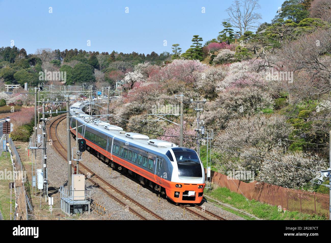 Kairakuen with plum blossoms and Fresh Hitachi limited express of Joban Line Stock Photo