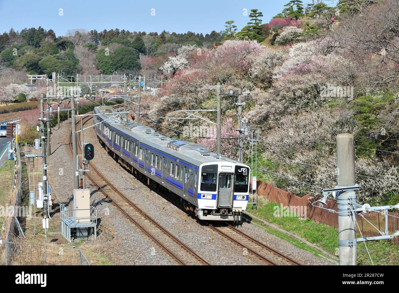 Kairakuen with plum blossoms and normal train of Joban Line Stock Photo