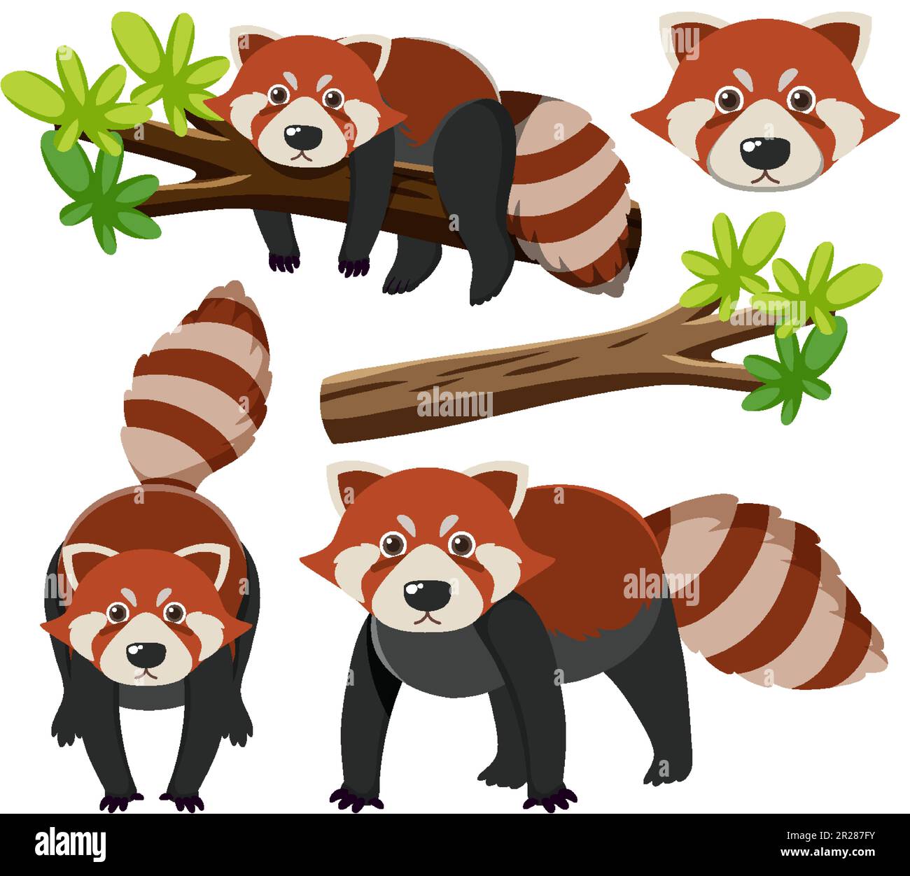 Set of red panda cartoon character illustration Stock Vector Image
