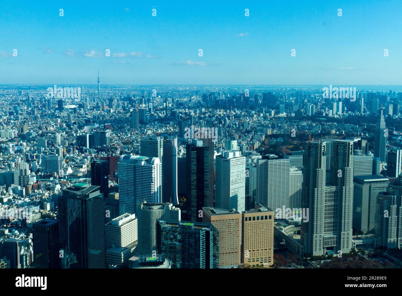 Aerial view of buildings in Shinjuku and Tokyo Sky Tree Stock Photo - Alamy
