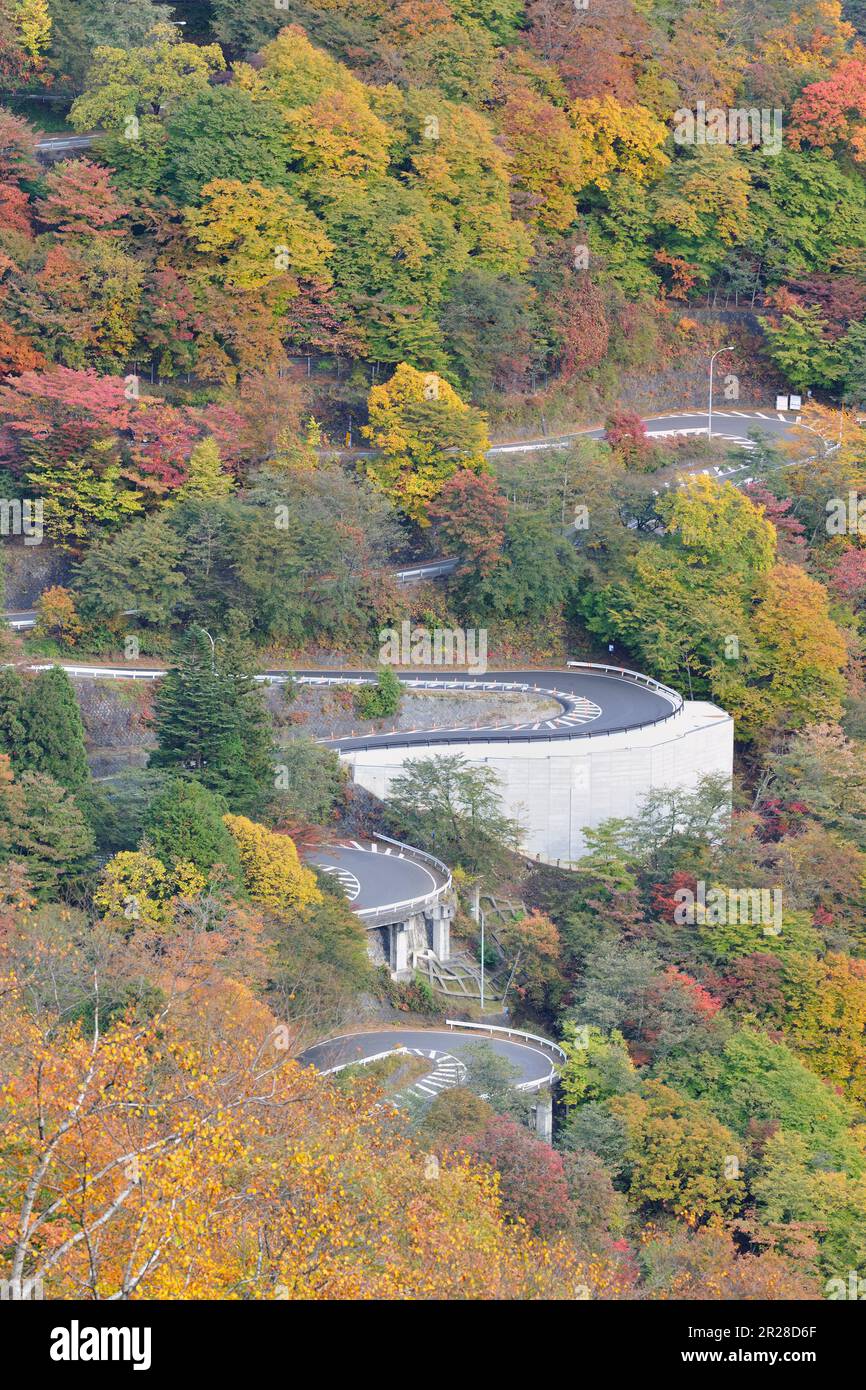Iroha slope no.1 and fall foliage (Route 120) Stock Photo