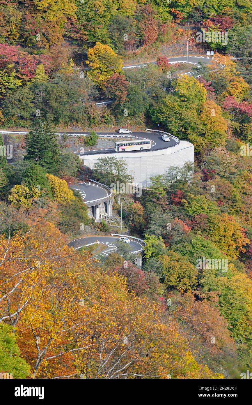 Iroha slope no.1 and fall foliage (Route 120) Stock Photo
