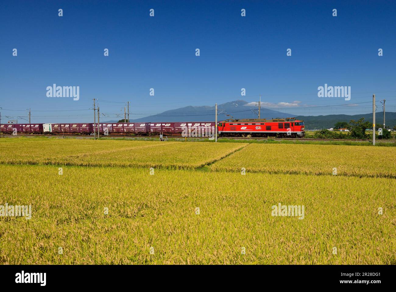 View of freight train running on JR Uetsu main line, rice fields and