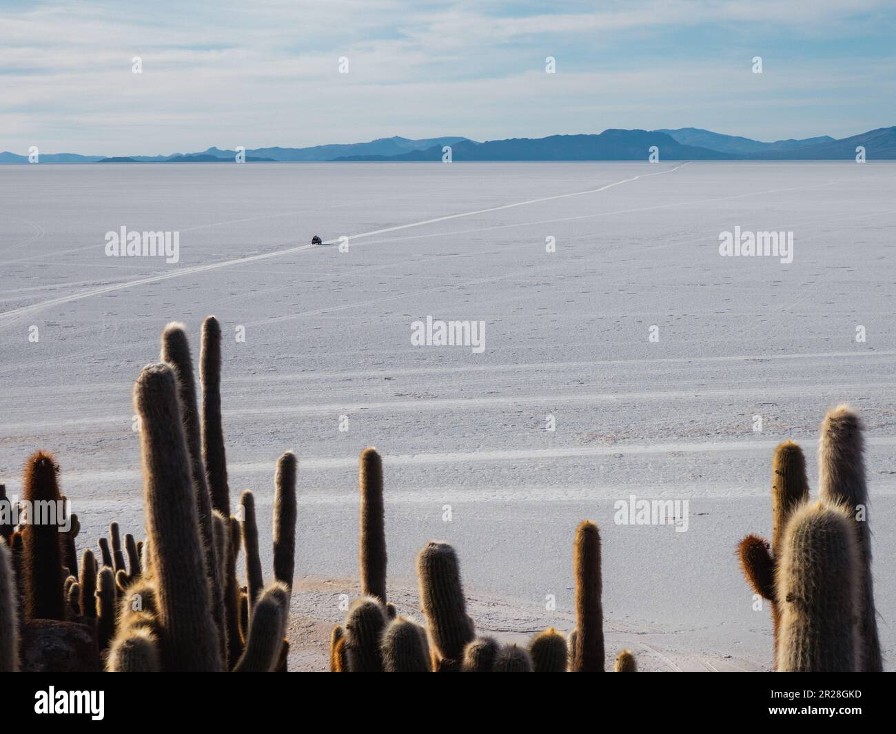 4x4 driving on Salar de Uyuni saltpans with cactuses of Isla Incahuasi in frame. Stock Photo