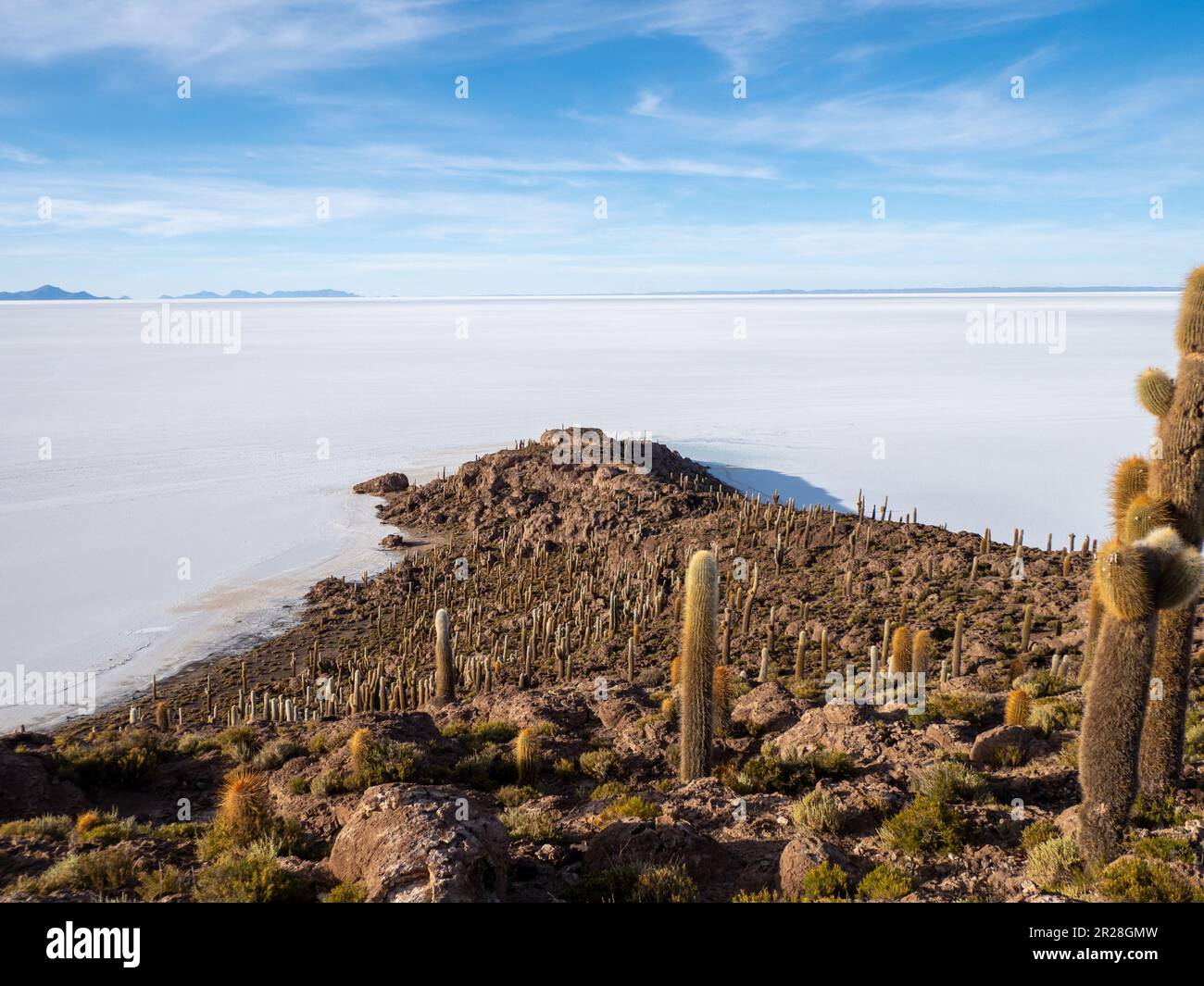 Discover The Surreal Beauty Of Isla Incahuasi On The Mesmerizing Salar Discover The Surreal Beauty Of Isla Incahuasi On The Mesmerizing Salar