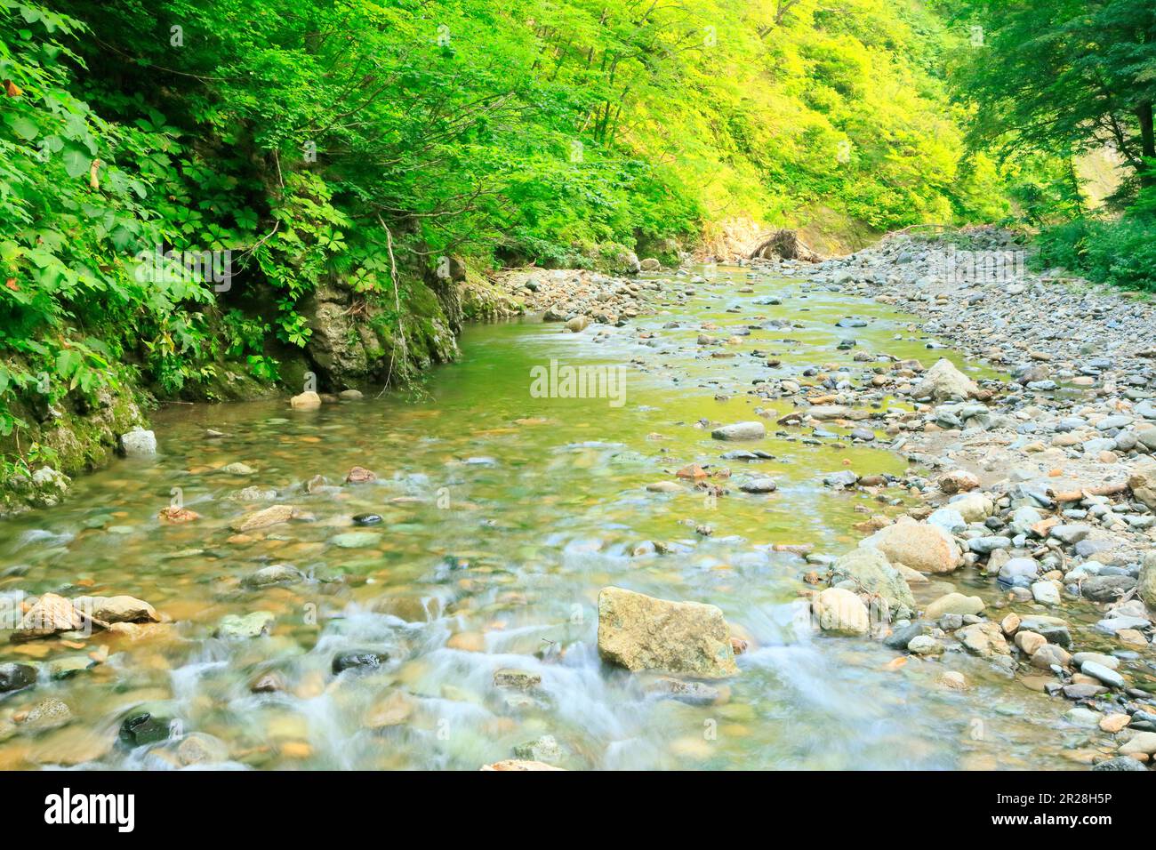 Japan summer river hi-res stock photography and images - Alamy