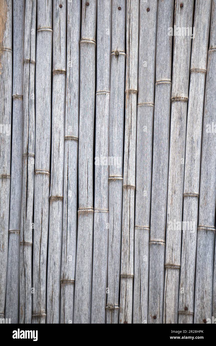Close up of old bamboo fence texture Stock Photo