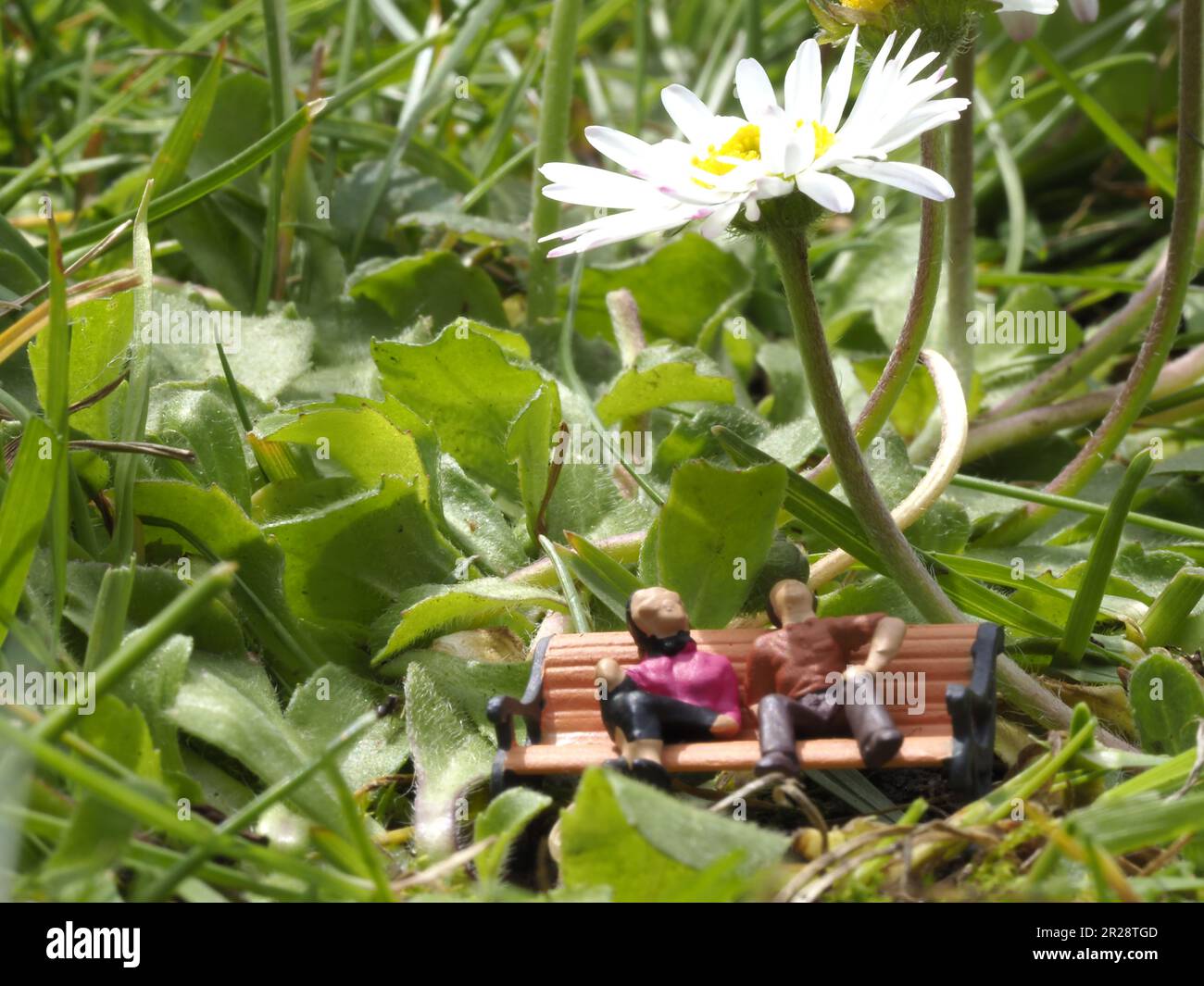 Model construction figure Stock Photo Alamy