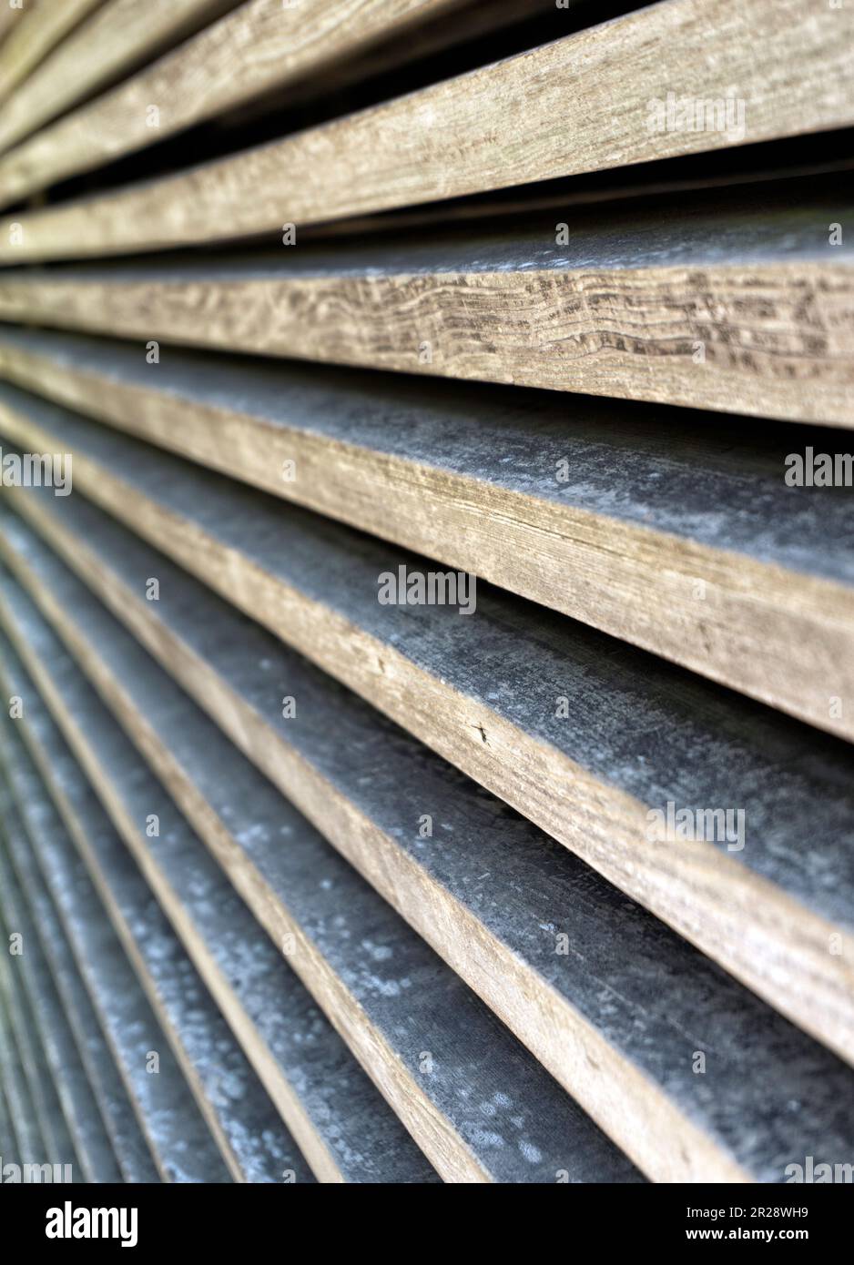 Perspective close up view of the wooden fence Stock Photo - Alamy