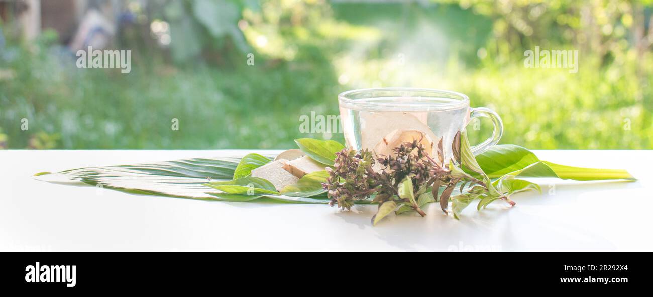 A glass of warm water and fresh ginger cut into thin pieces on the galangal leaves. Basil leaves on the side Put it on a white table. Concept drink gi Stock Photo