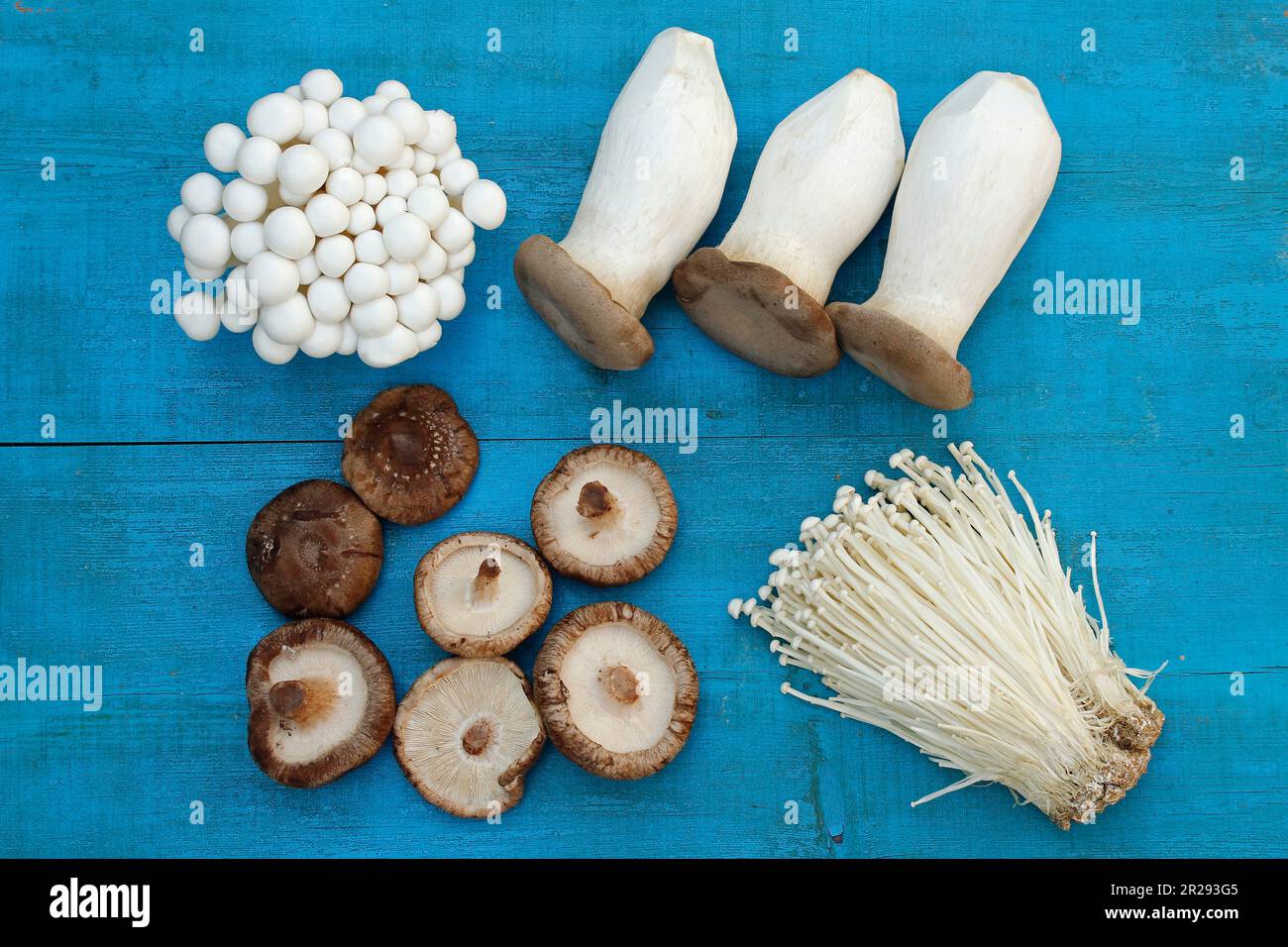 King Oyster Mushroom and Shimeji Mushroom and Shitake Mushroom O