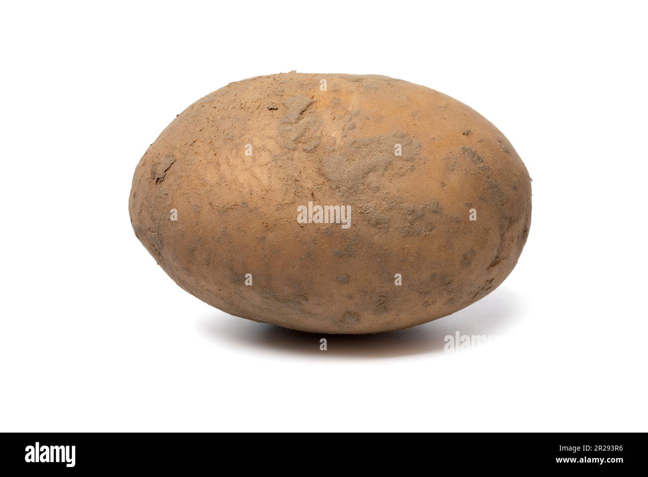 Single fresh Dutch variety potato called Bintje close up isolated on white background Stock Photo
