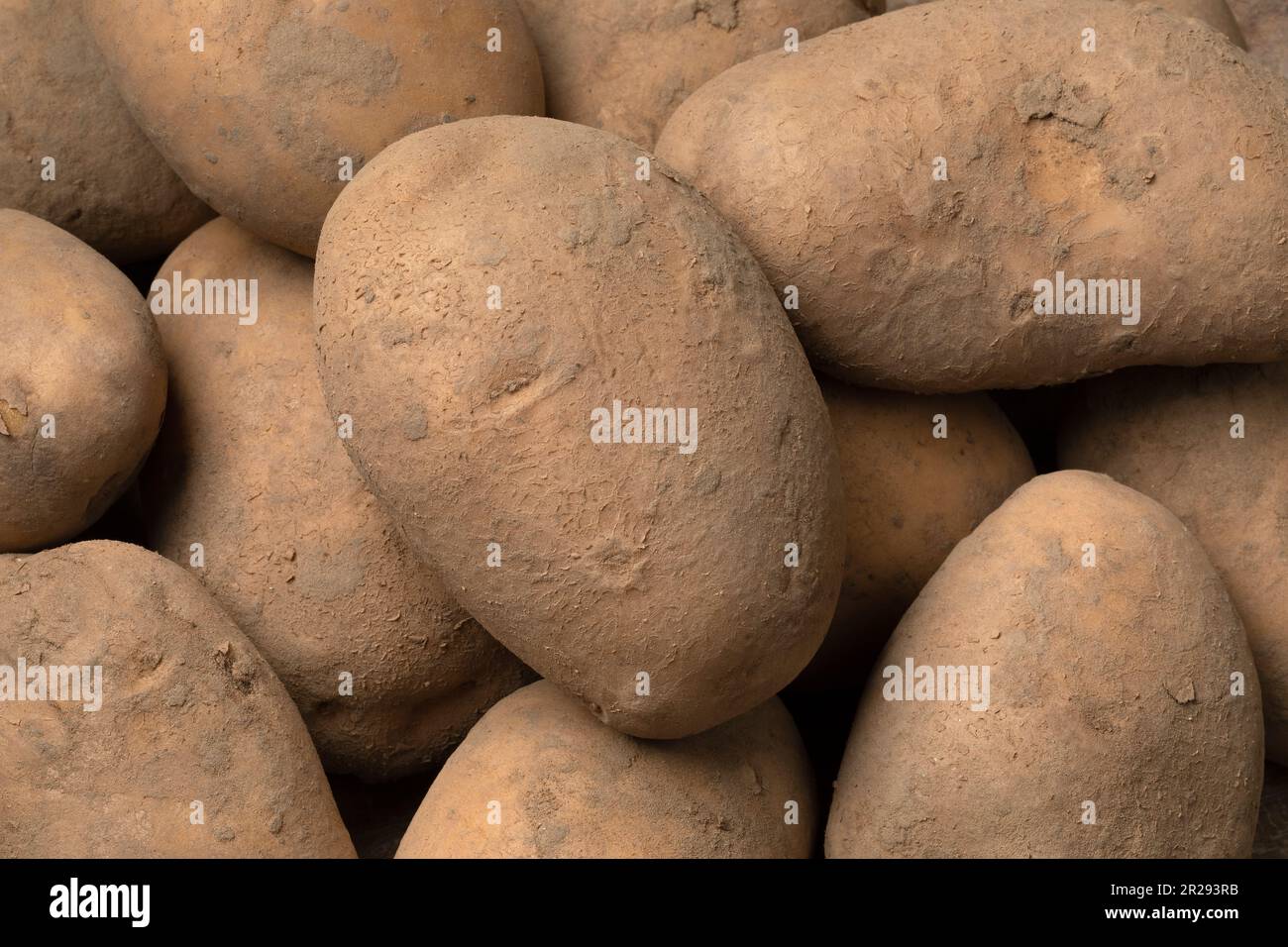 Dutch variety potato called Bintje close up full frame as background Stock Photo
