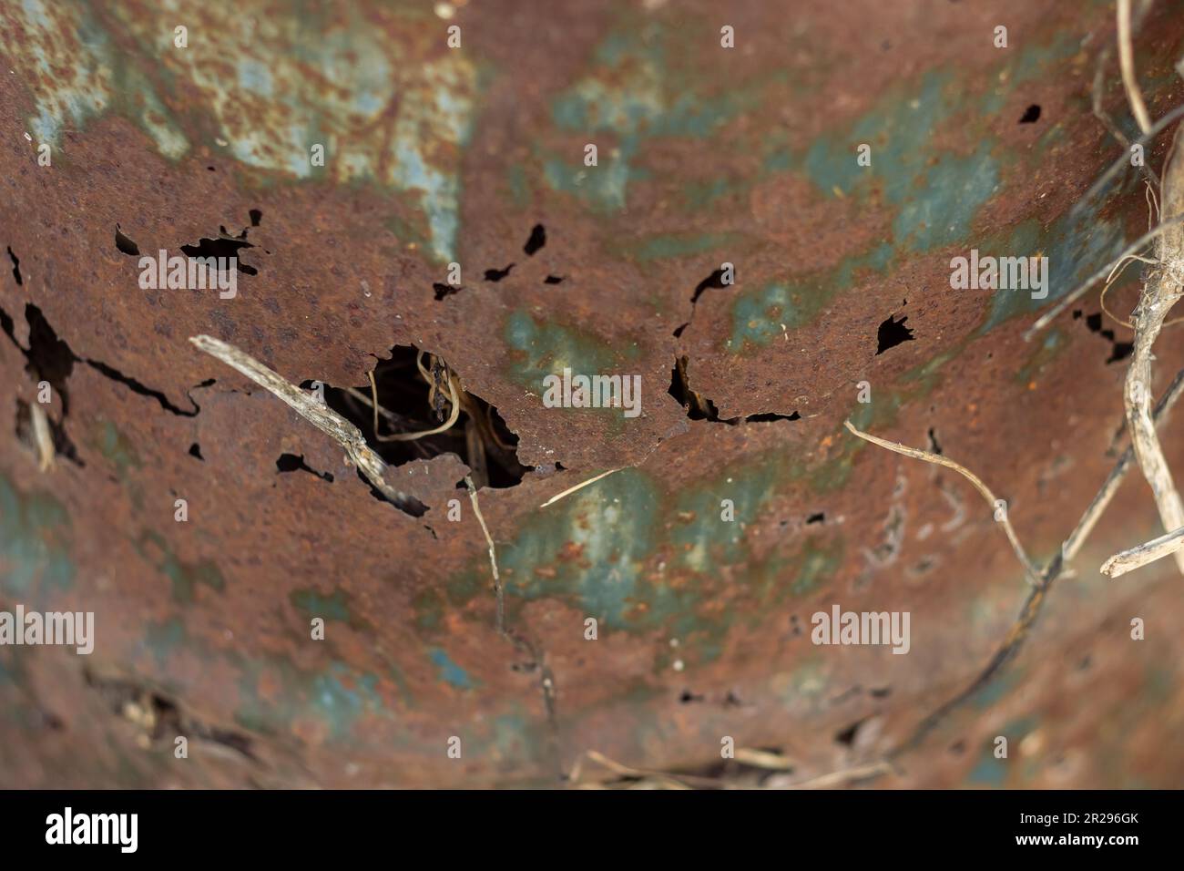 Piece of a rusty iron barrel with few rust holes and dry grass on it ...