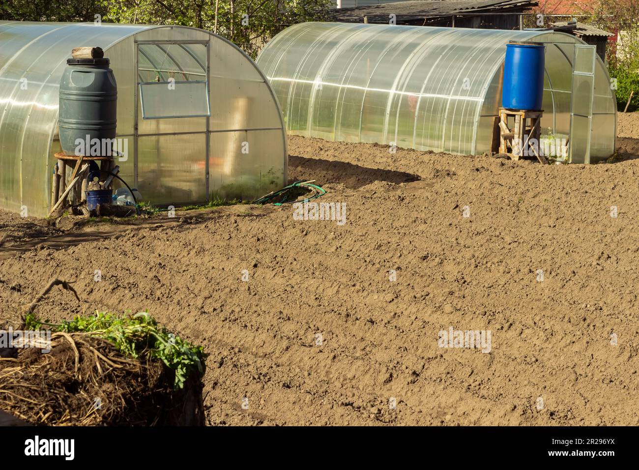 Beautiful vegetable garden with greenhouses potato beds and black soil