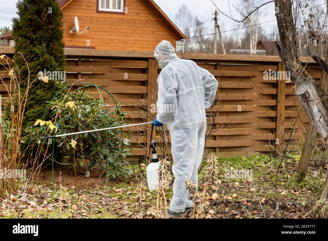 Using chemicals in the garden orchard gardener applying an insecticide
