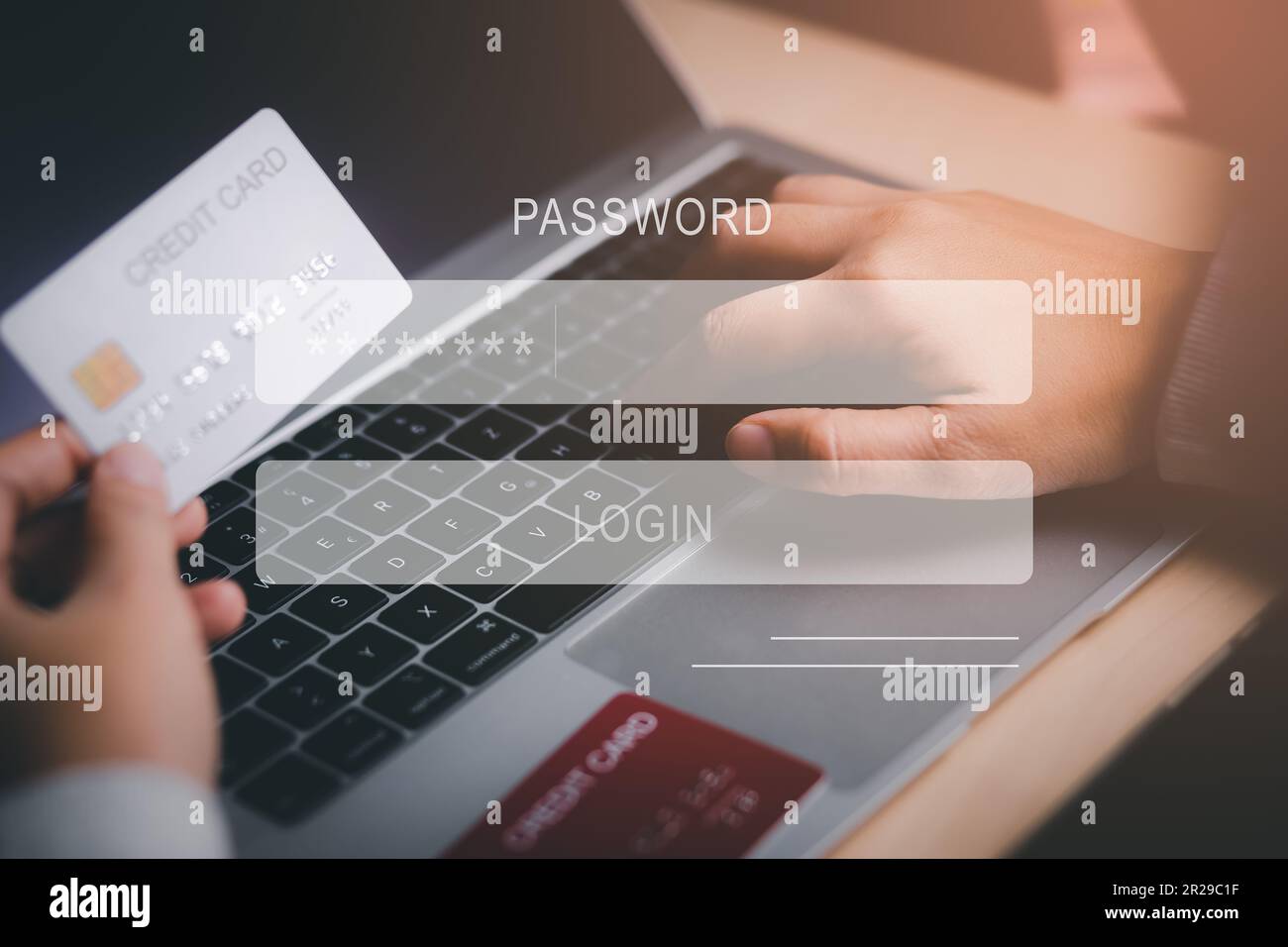 Hand hold visa card with cyber security and tablet,Login, User