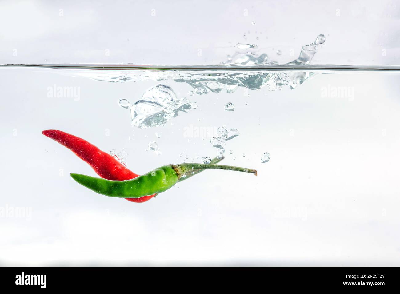 Red chilli, water splashes, solated on a white background Stock Photo