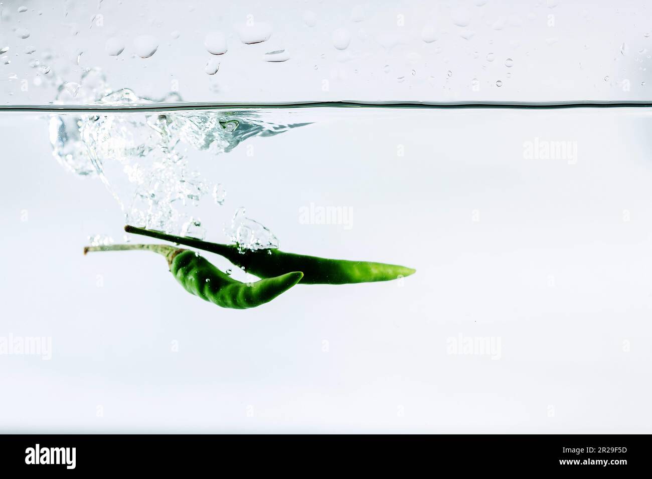 Red chilli, water splashes, solated on a white background Stock Photo