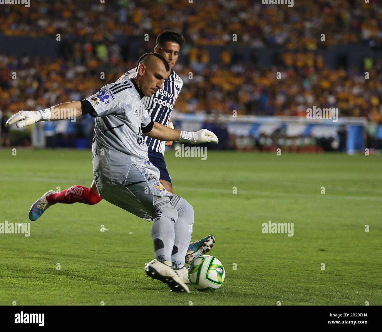 The Underdog Story: Rayados' Unbelievable Liga Mx Victory - z6qm2kr