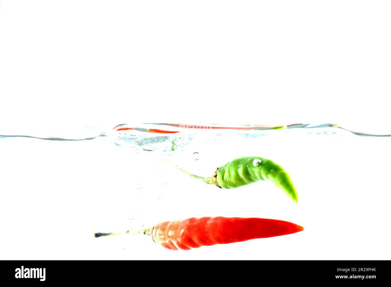 Red chilli, water splashes, solated on a white background Stock Photo