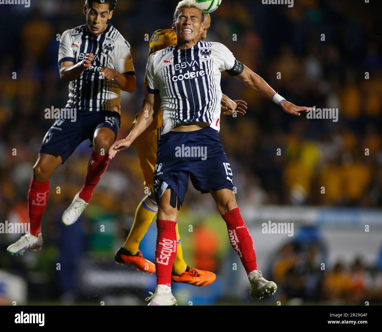 The Underdog Story: Rayados' Unbelievable Liga Mx Victory - aptkave