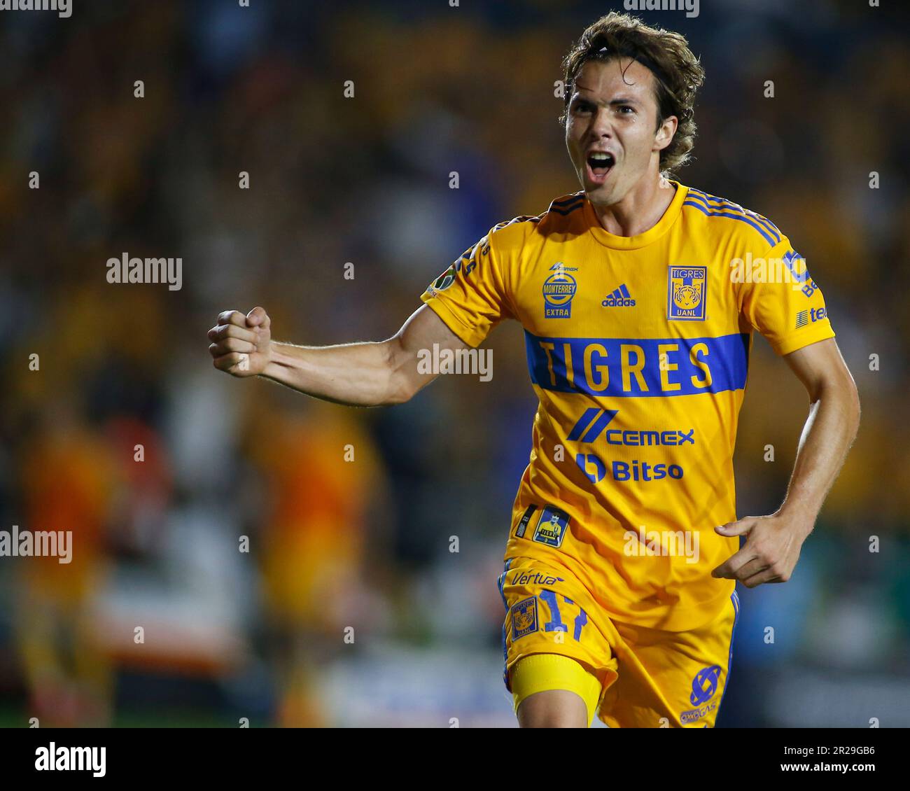Tigres uanl 2023 hi-res stock photography and images - Alamy