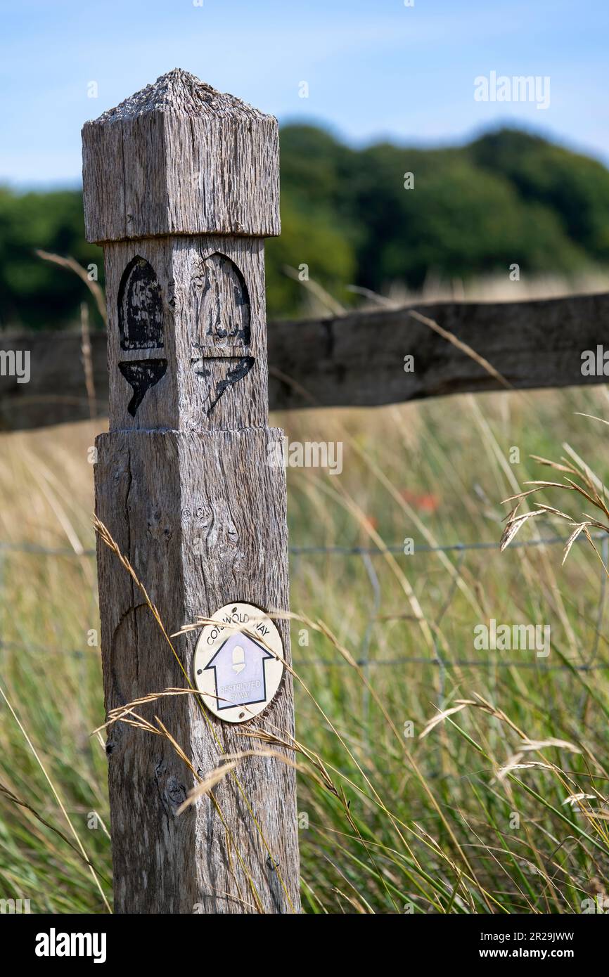 Close up view of a wooden pole with signage of public footpath ...