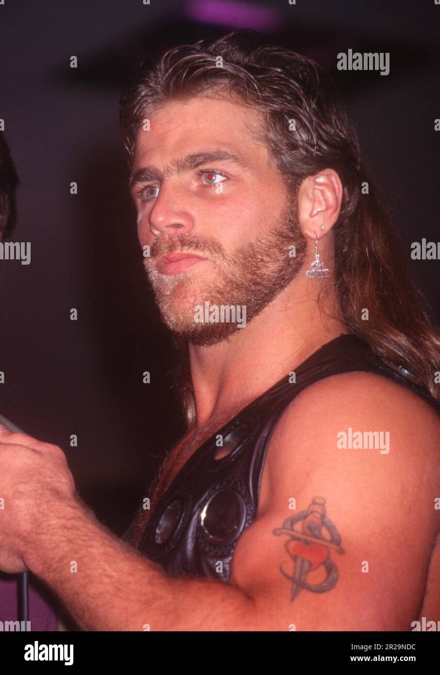 1995 Shawn Michaels John Barrett/PHOTOlink Stock Photo Alamy