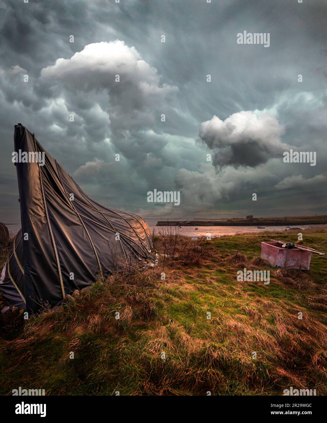 Upturned Herring boats used as fisherman's huts on Lindisfarne Island