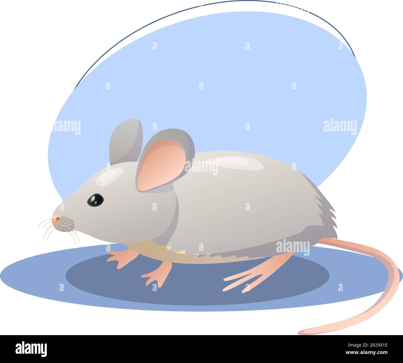 Mouse illustration. Animal, ears, tail, nose. Editable vector graphic design. Stock Vector