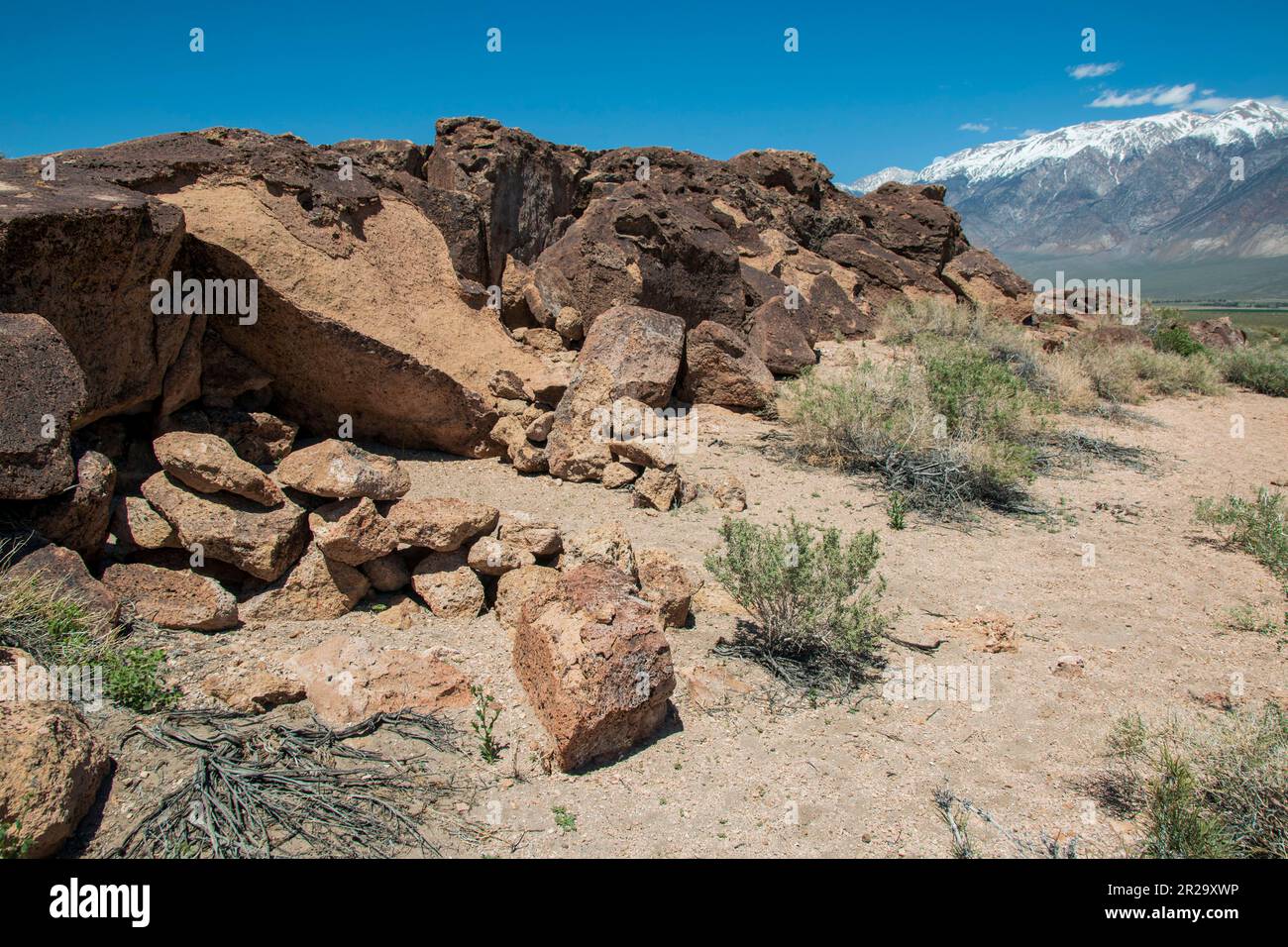 Petroglyphs Near Me Discovering Ancient Markings