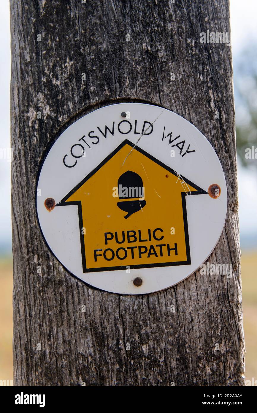 Close up view of part of wooden pole with signage with acorn symbol of ...