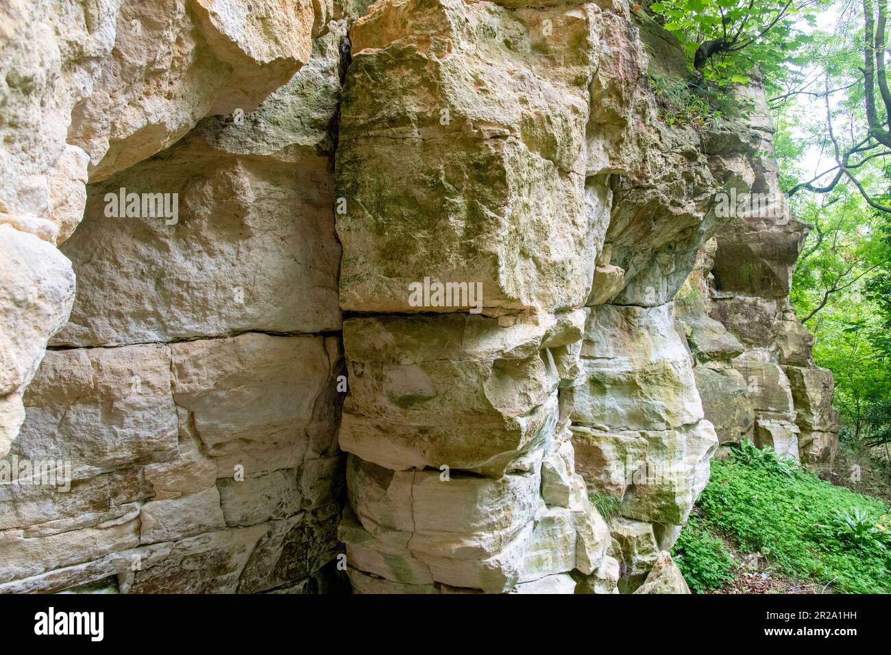 Close up side view of the sandstone layers of the Coaley Wood Quarries in Gloucestershire, UK, now a geological site in the Cotswold area along the pu Stock Photo
