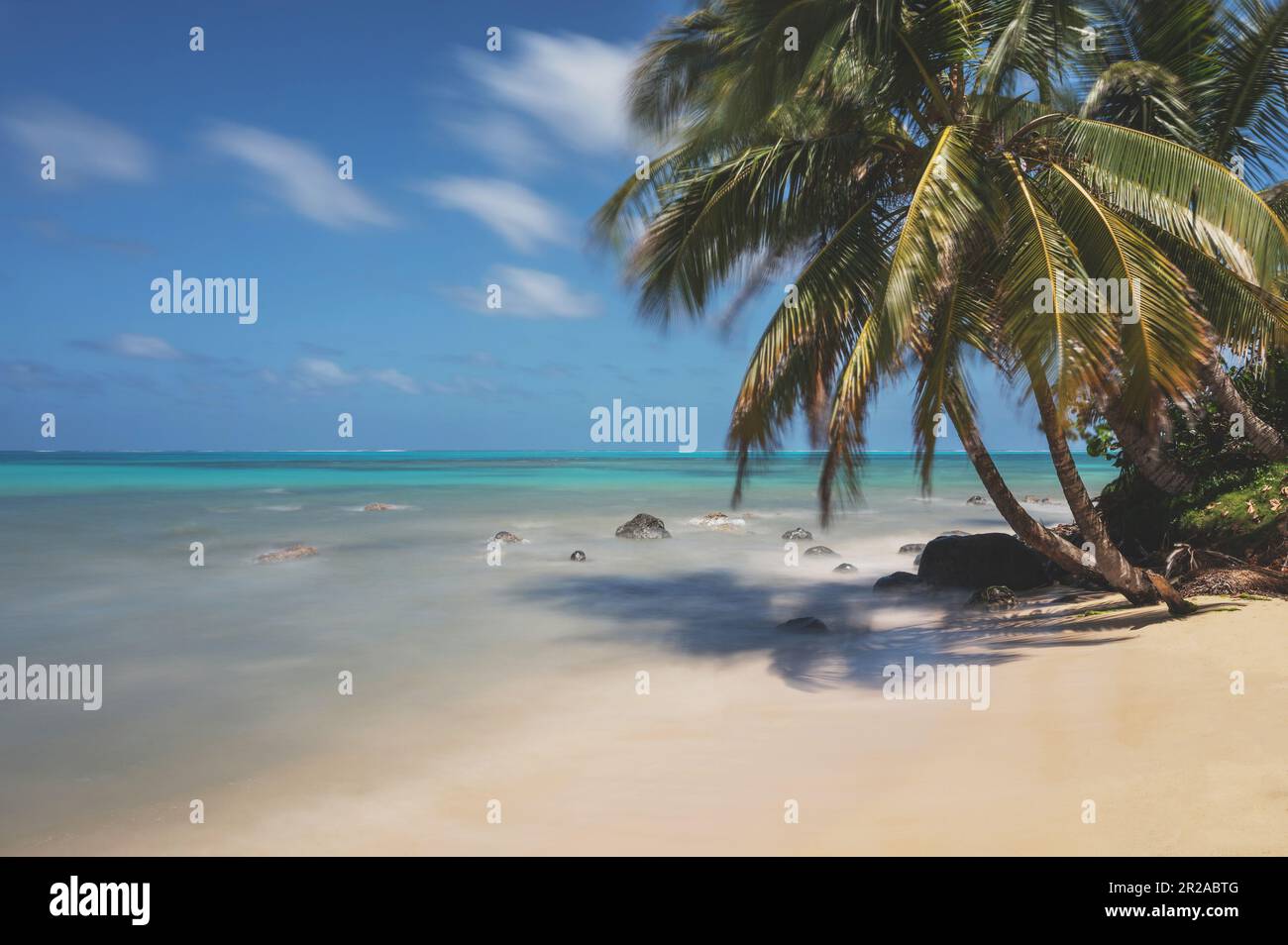 Clear tropical beach with palm tree and copy space at blue sky sea Stock Photo