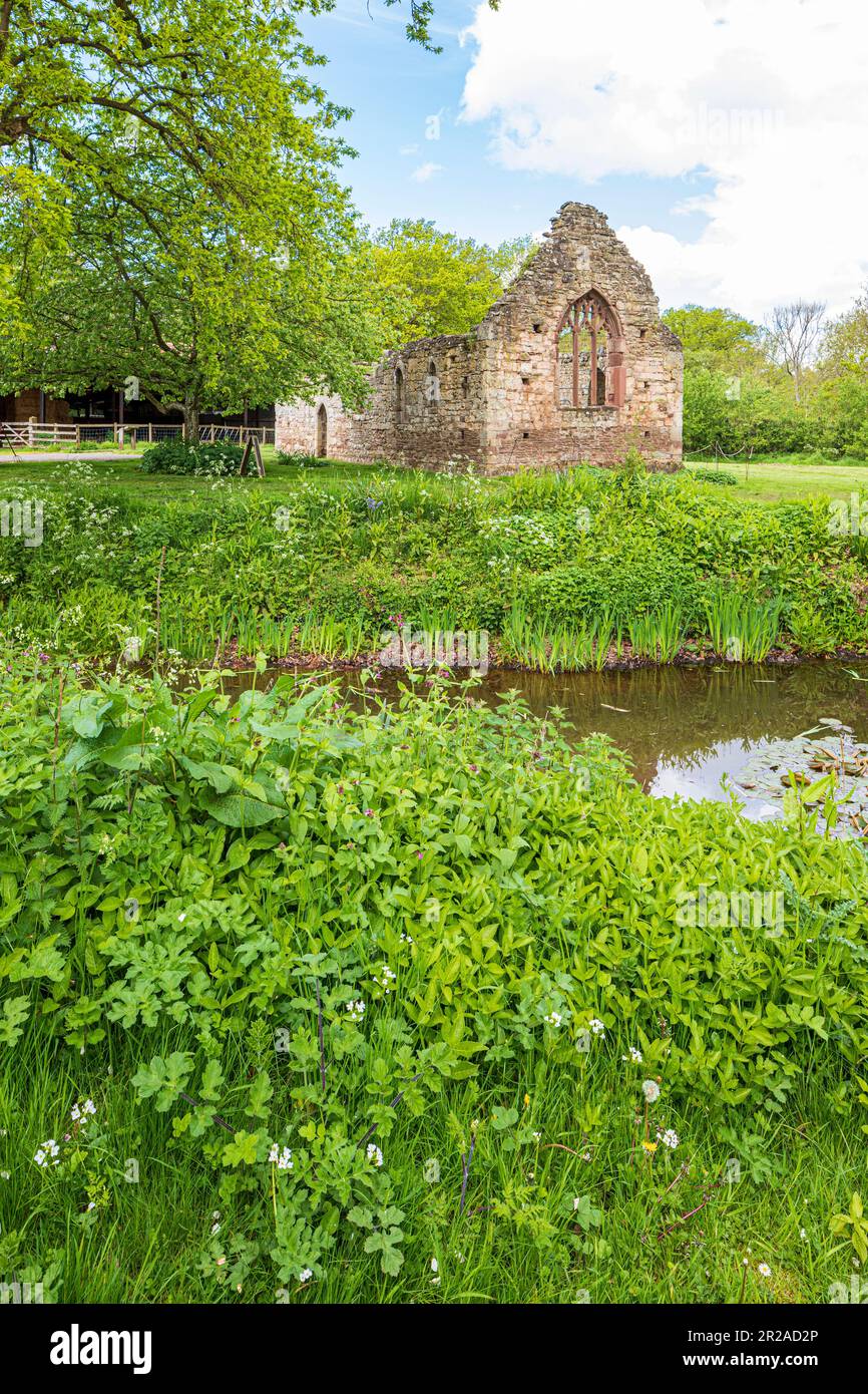 The ruins of the 12th century Norman chapel beside the moat of Lower Brockhampton Manor House near Bromyard, Herefordshire, England UK Stock Photo