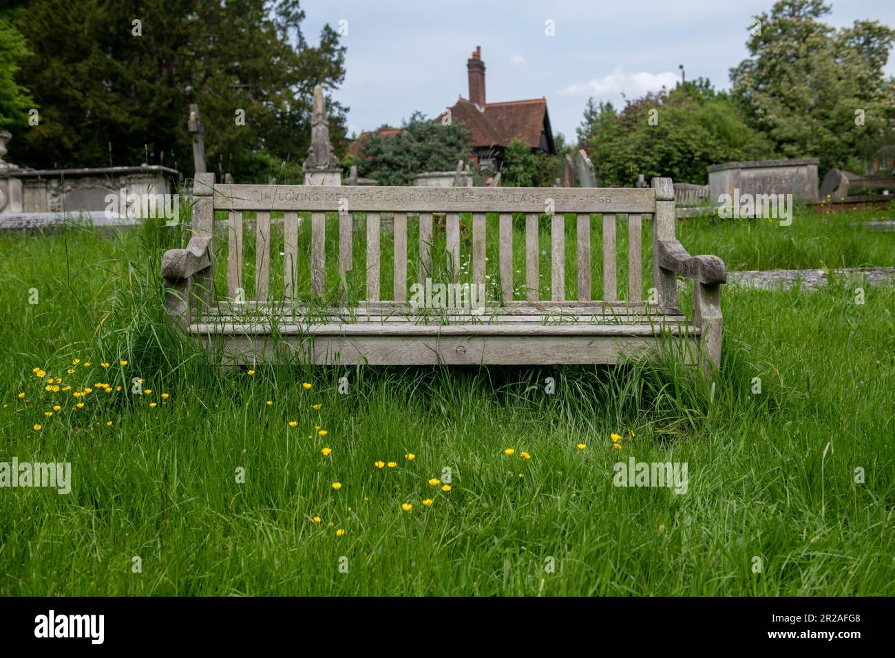 Harrow council is taking part in NO MOW MAY, a Plantlife initiative, in May 2023. Here a graveyard in Stanmore that has been left unmown. Stock Photo