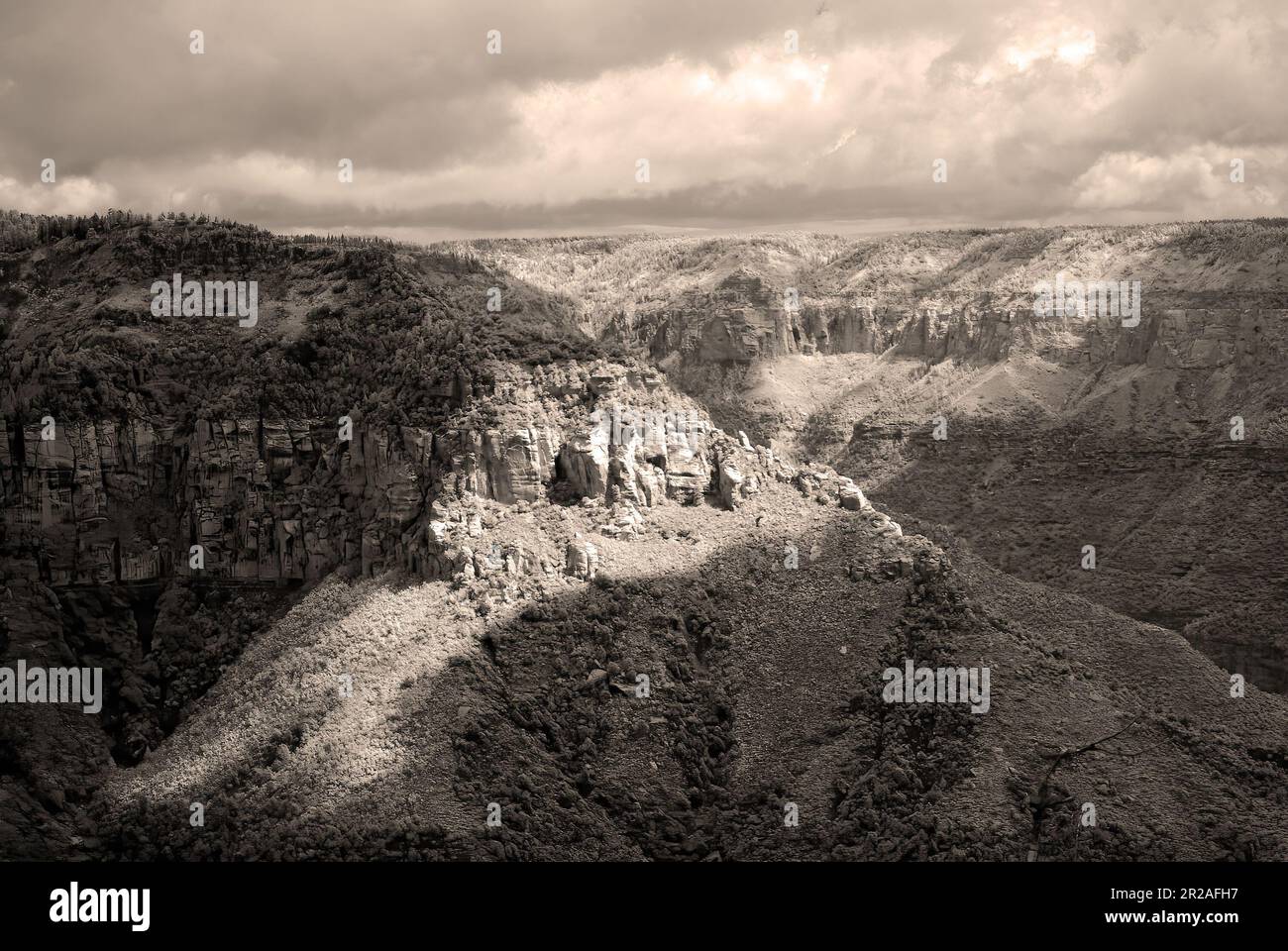 Infrared Sepia tone late afternoon in the Grand Canyon Arizona Stock Photo  - Alamy