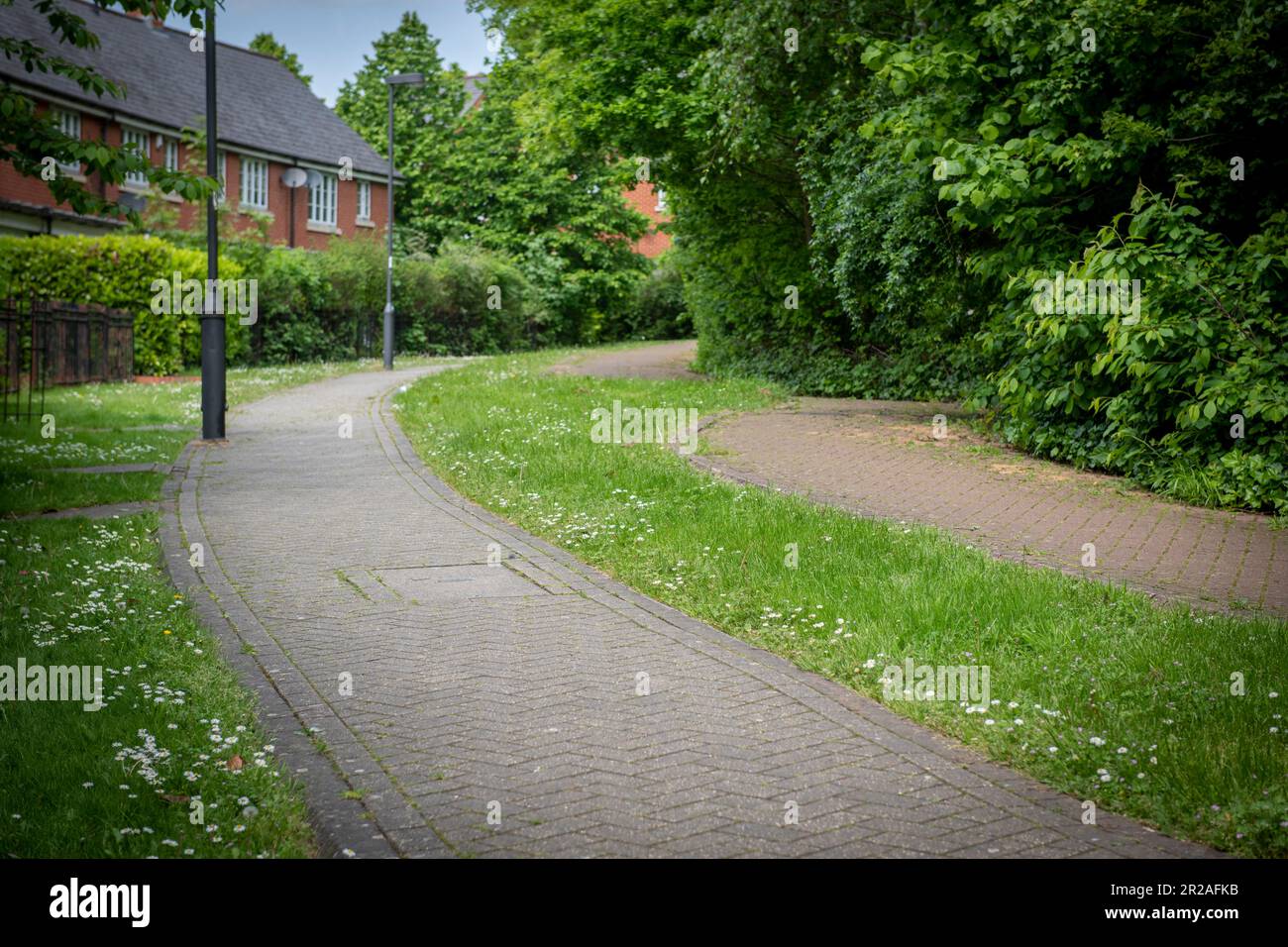 Harrow council is taking part in NOMOWMAY, a Plantlife initiative, in