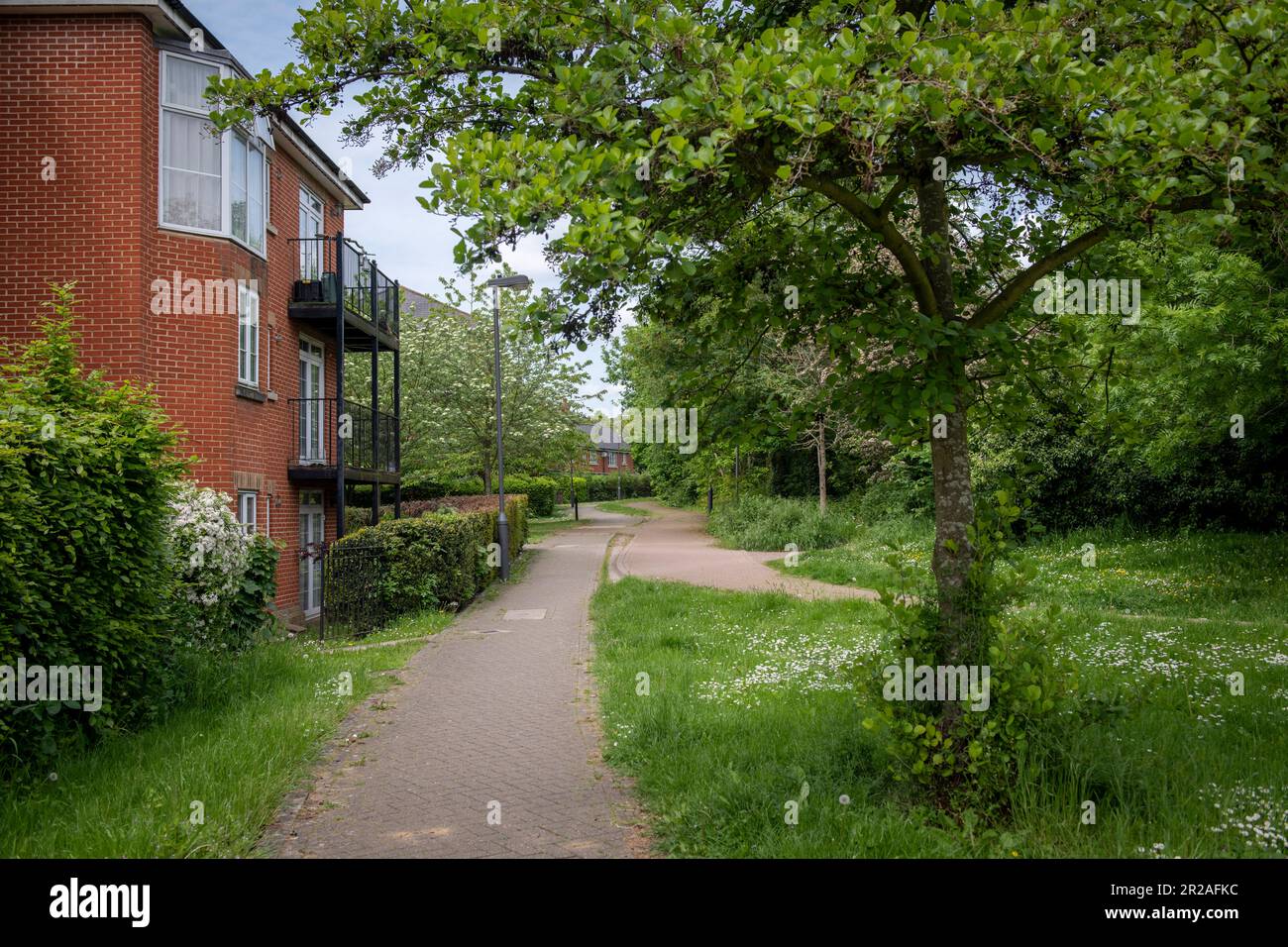 Harrow council is taking part in NOMOWMAY, a Plantlife initiative, in