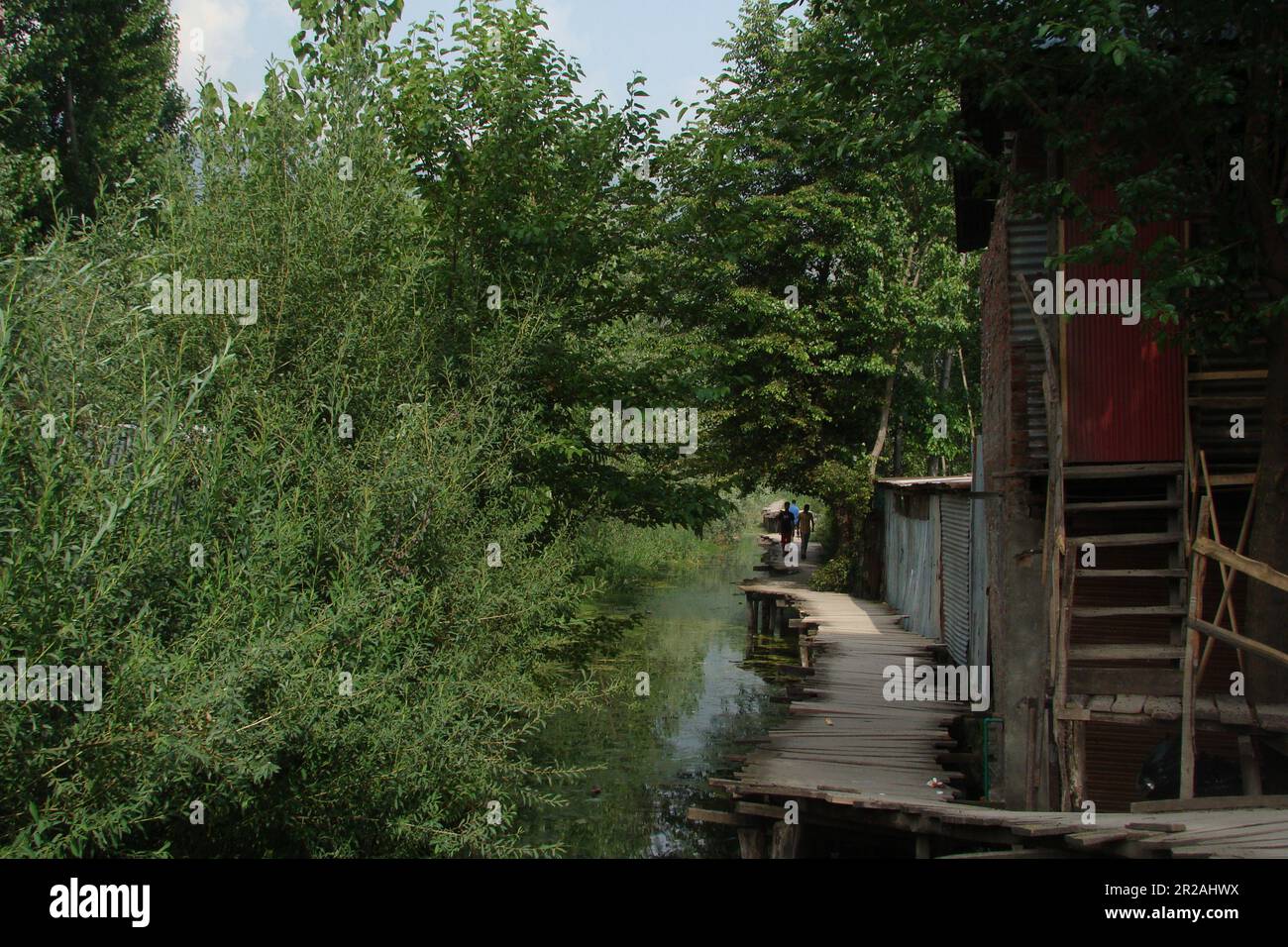a pedestrian walks on wooden bridge towards the floating market inside the dal lake srinagar. Stock Photo