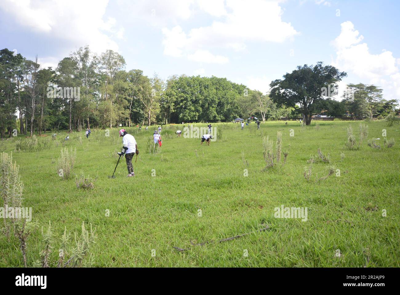City:Marilia,  Sao Paulo, Brazil, March 25, 2023: Men and women in detectorism championship using metal detectors in a grassy lot with trees in the ba Stock Photo