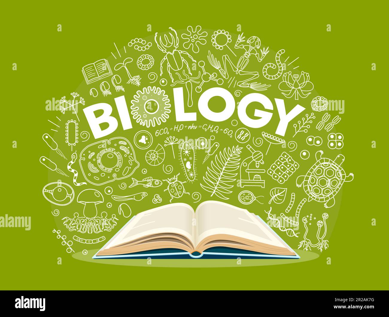 Biology textbook, outline science symbols on school board. Vector scientific educational