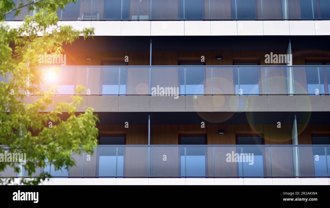 Eco architecture. Green tree and new apartment building. The harmony of