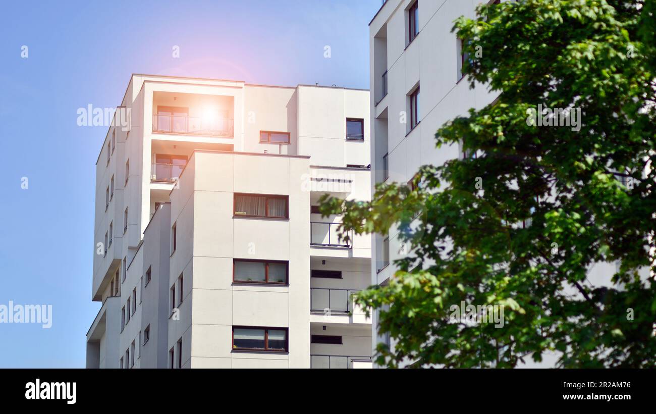Eco architecture. Green tree and new apartment building. The harmony of
