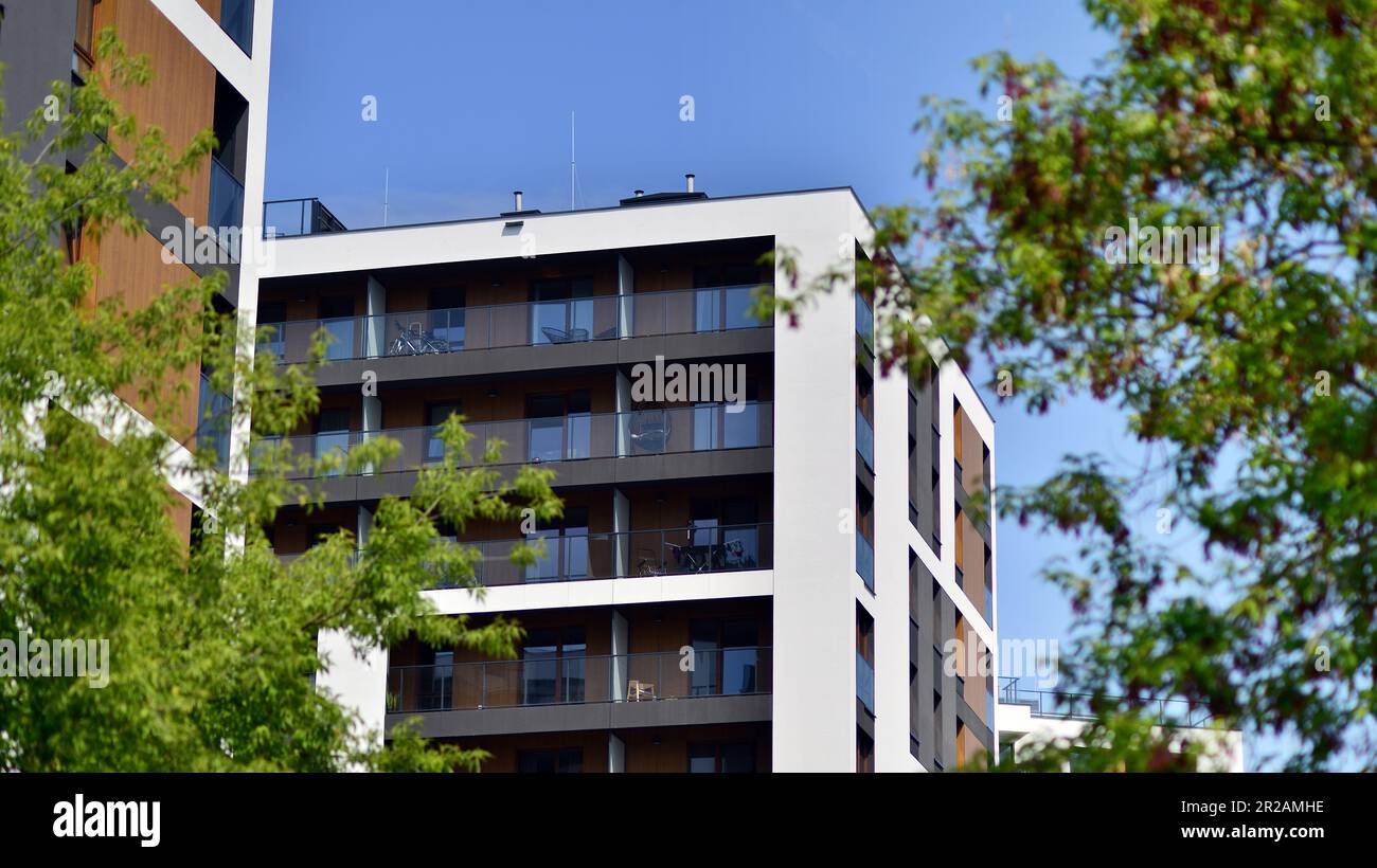 Eco architecture. Green tree and new apartment building. The harmony of