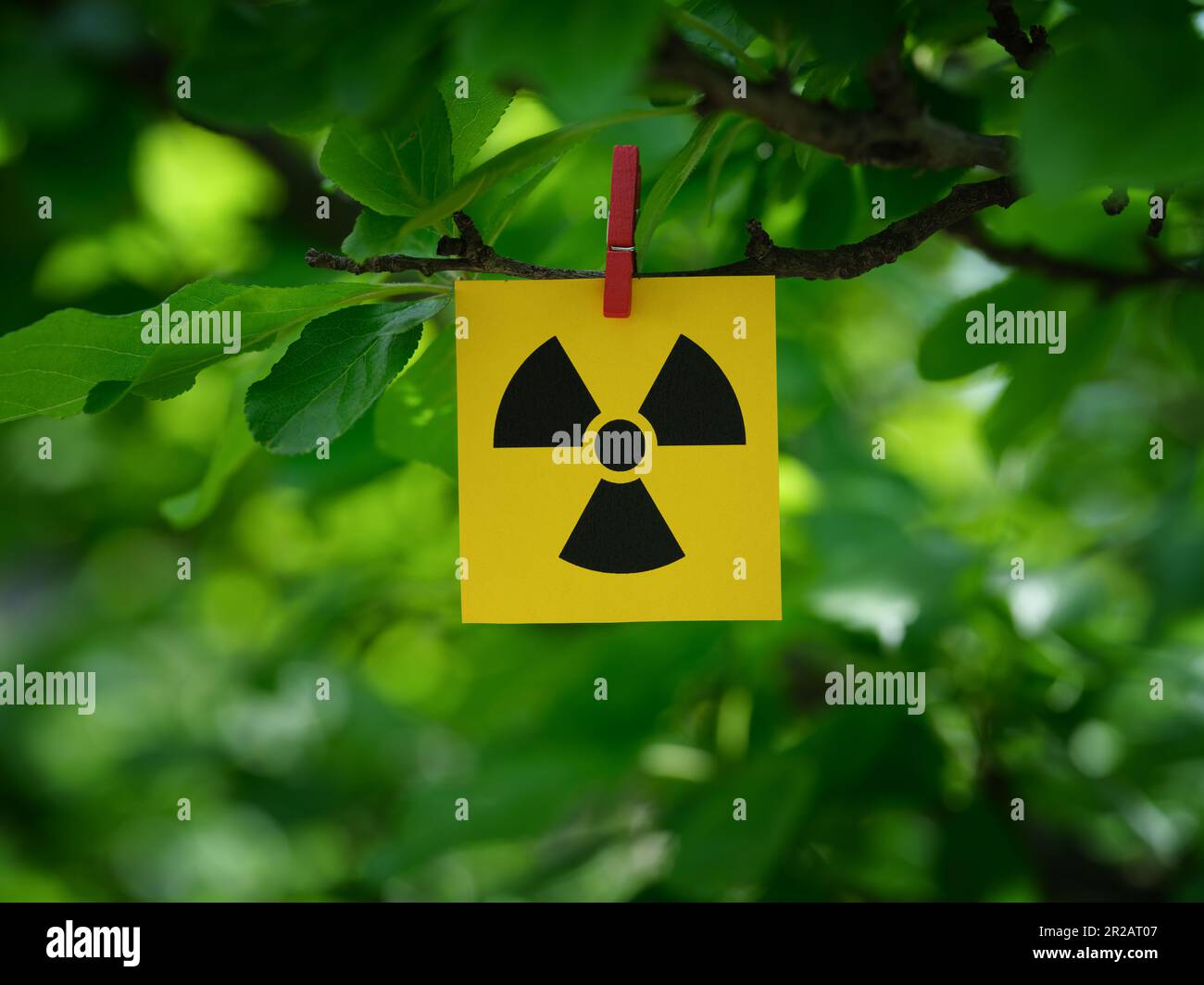 A yellow paper note with radiation warning sign on it attached to a tree branch with a clothes pin. Close up. Stock Photo