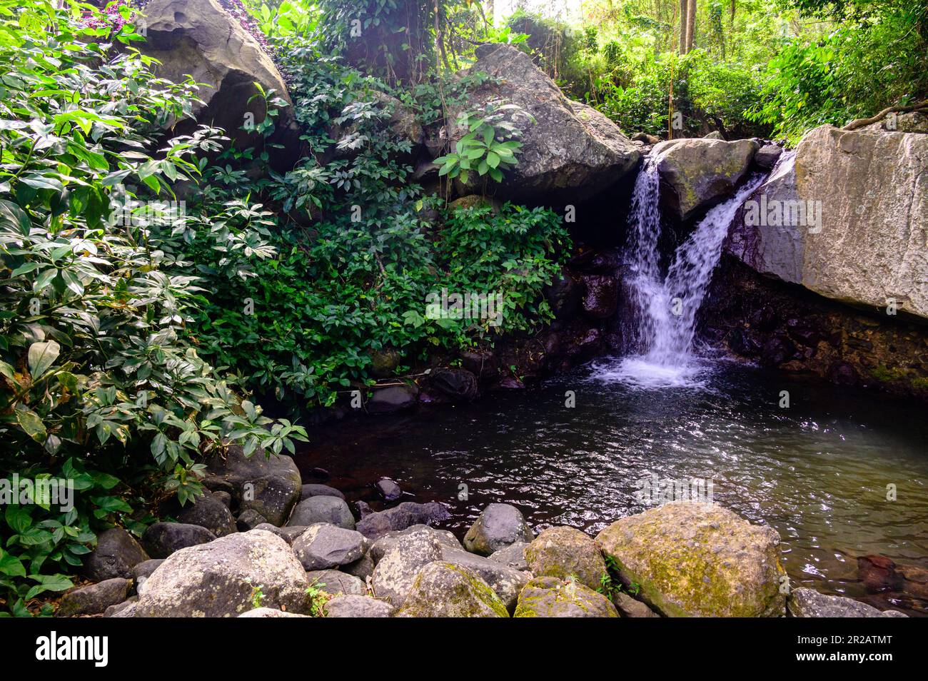 Small waterfall on the Caribbean island of St. Vincent Stock Photo - Alamy