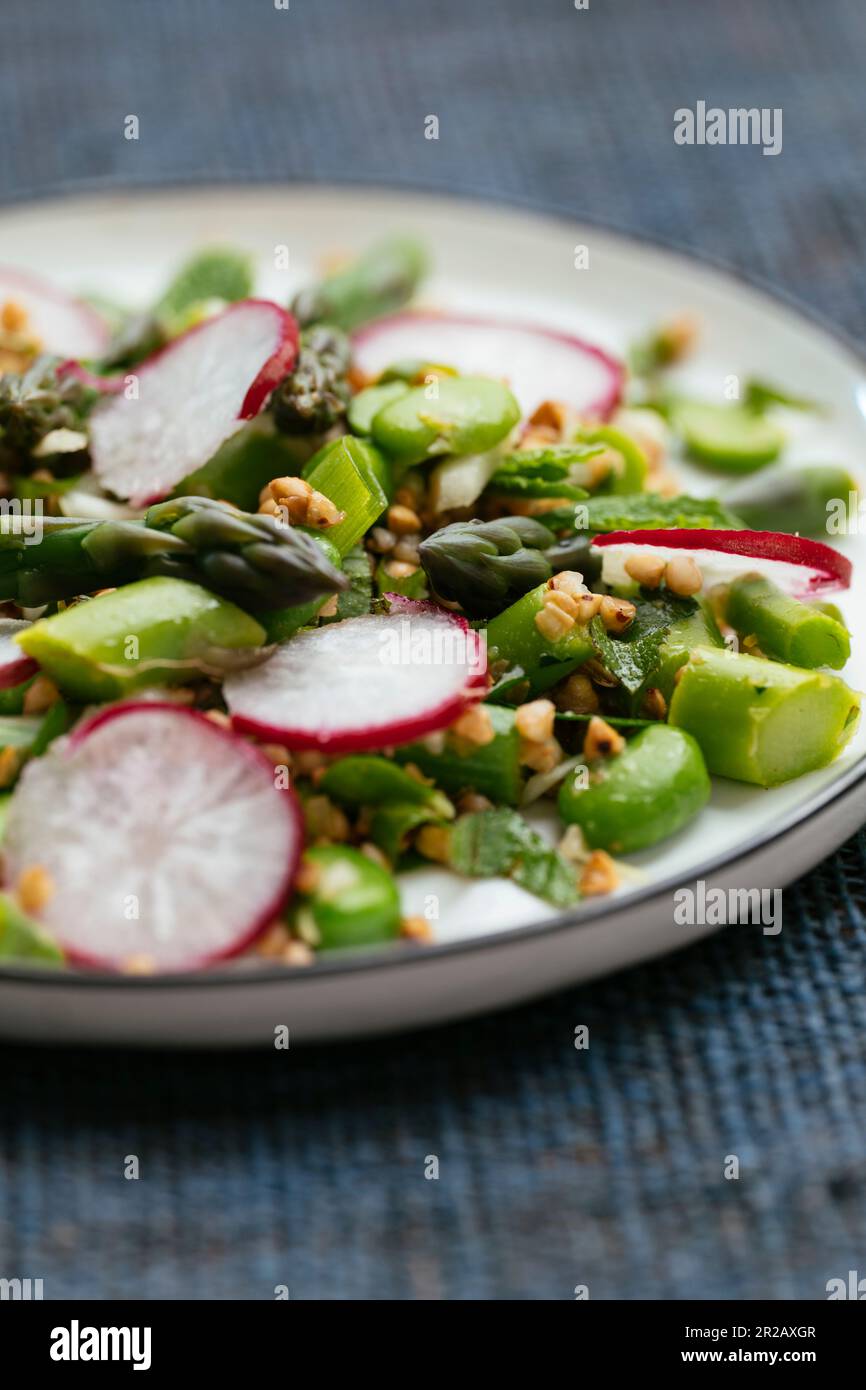 https://c8.alamy.com/comp/2R2AXGR/spring-salad-with-asparagus-fava-beans-and-buckwheat-2R2AXGR.jpg